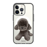 6038-iphone-13-pro-golden-case-magsafe-compatible-transparent-black