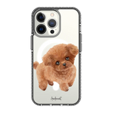 6039-iphone-13-pro-golden-case-magsafe-compatible-transparent-black