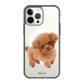 6039-iphone-13-pro-max-golden-case-magsafe-compatible-transparent-black