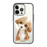 6040-iphone-13-pro-golden-case-magsafe-compatible-transparent-black