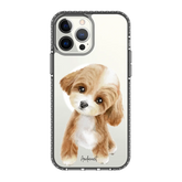 6040-iphone-13-pro-max-golden-case-magsafe-compatible-transparent-black