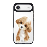 6040-iphone-17-air-goldensnap-case-magsafe-compatible-transparent-black