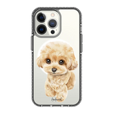 6041-iphone-13-pro-golden-case-magsafe-compatible-transparent-black
