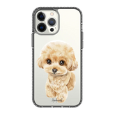 6041-iphone-13-pro-max-golden-case-magsafe-compatible-transparent-black
