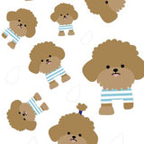 1034 poodle