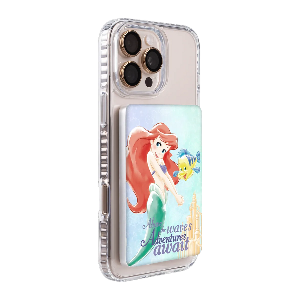 119807875-ps501-ccc-pb-silver