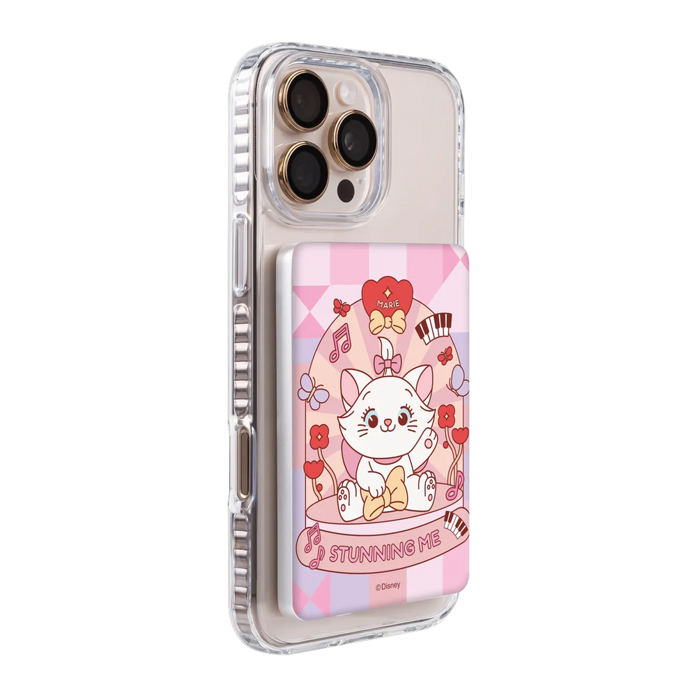 120516613-ps501-ccc-pb-silver