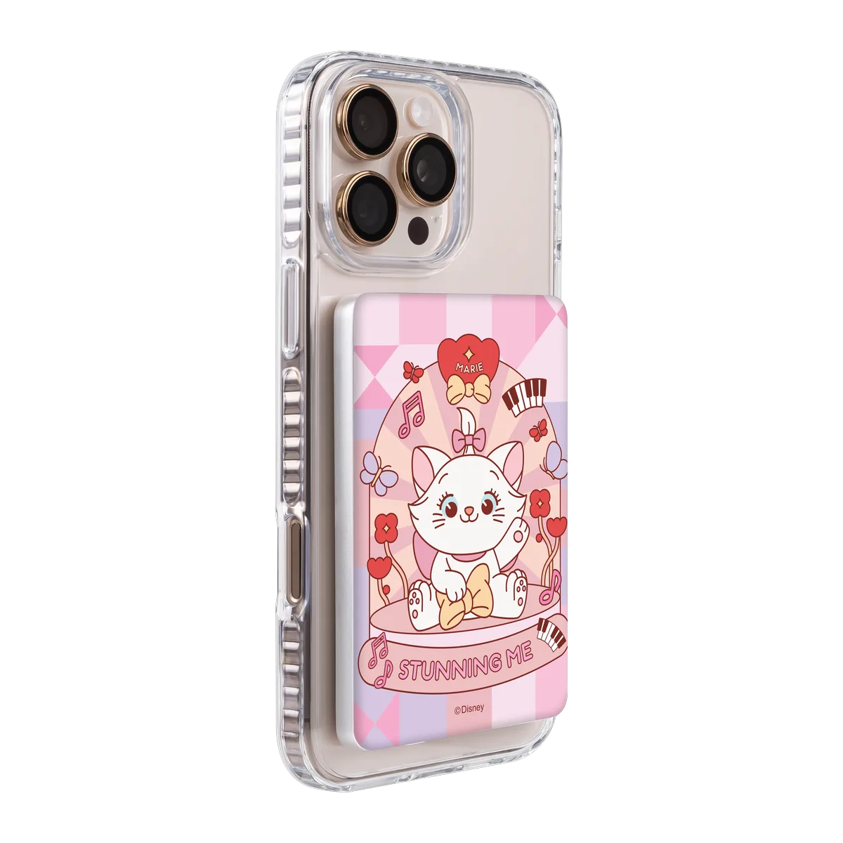 120516613-ps501-ccc-pb-silver