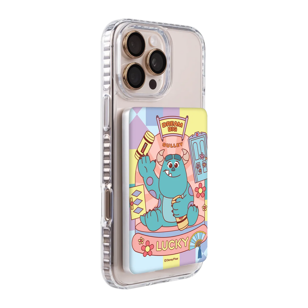120516655-ps501-ccc-pb-silver