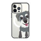 2256-iphone-13-pro-golden-case-magsafe-compatible-transparent-black
