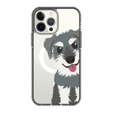2256-iphone-13-pro-max-golden-case-magsafe-compatible-transparent-black