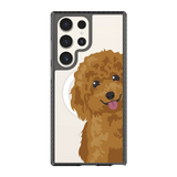 2257-galaxy-s23-ultra-golden-case-magsafe-compatible-transparent-black