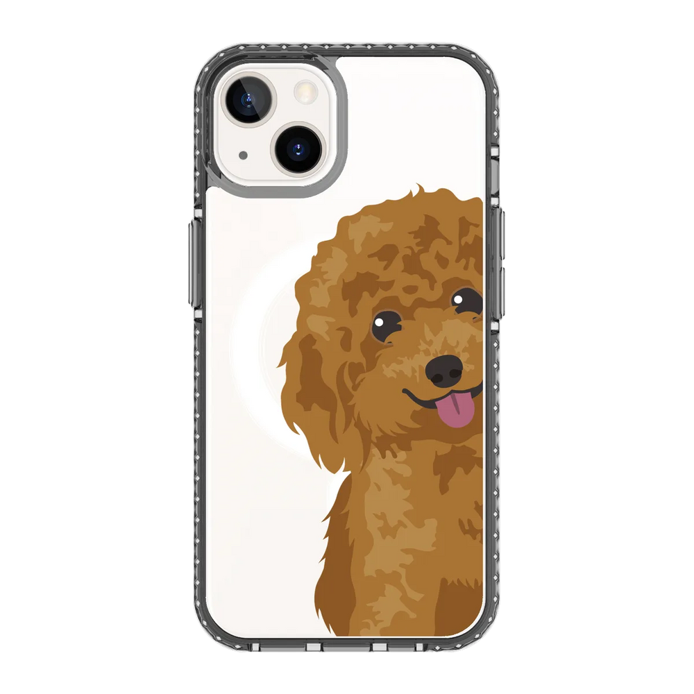 2257-iphone-13-golden-case-magsafe-compatible-transparent-black