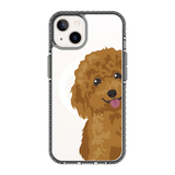 2257-iphone-13-golden-case-magsafe-compatible-transparent-black