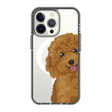 2257-iphone-13-pro-golden-case-magsafe-compatible-transparent-black