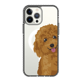 2257-iphone-13-pro-max-golden-case-magsafe-compatible-transparent-black