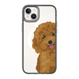 2257-iphone-14-plus-golden-case-magsafe-compatible-transparent-black