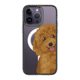 2257-iphone-14-pro-max-golden-case-magsafe-compatible-transparent-black