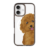 2257-iphone-16-golden-case-magsafe-compatible-transparent-black