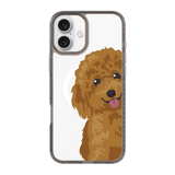 2257-iphone-16-plus-golden-case-magsafe-compatible-transparent-black