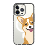 2259-iphone-13-pro-golden-case-magsafe-compatible-transparent-black