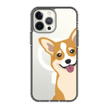 2259-iphone-13-pro-max-golden-case-magsafe-compatible-transparent-black