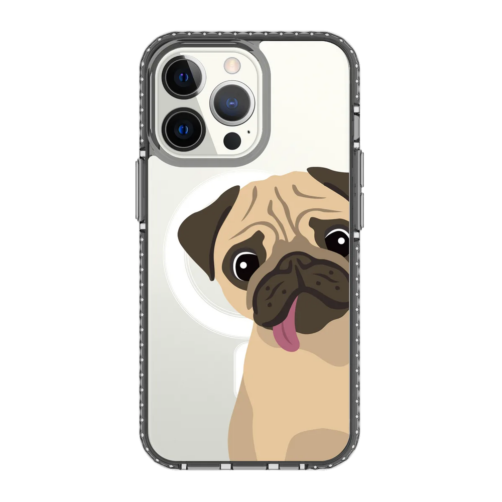 2260-iphone-13-pro-golden-case-magsafe-compatible-transparent-black