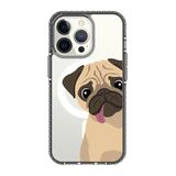 2260-iphone-13-pro-golden-case-magsafe-compatible-transparent-black