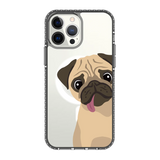 2260-iphone-13-pro-max-golden-case-magsafe-compatible-transparent-black