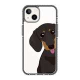 2261-iphone-13-golden-case-magsafe-compatible-transparent-black