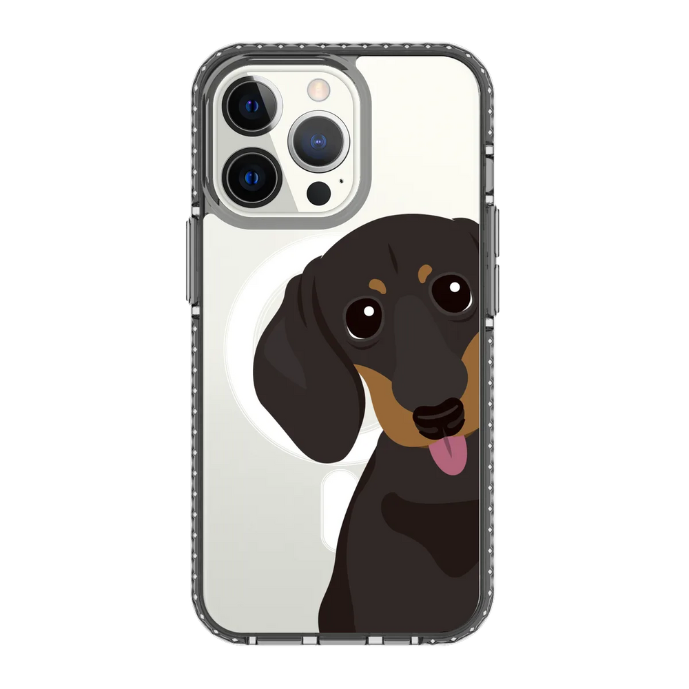 2261-iphone-13-pro-golden-case-magsafe-compatible-transparent-black