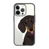 2261-iphone-13-pro-golden-case-magsafe-compatible-transparent-black