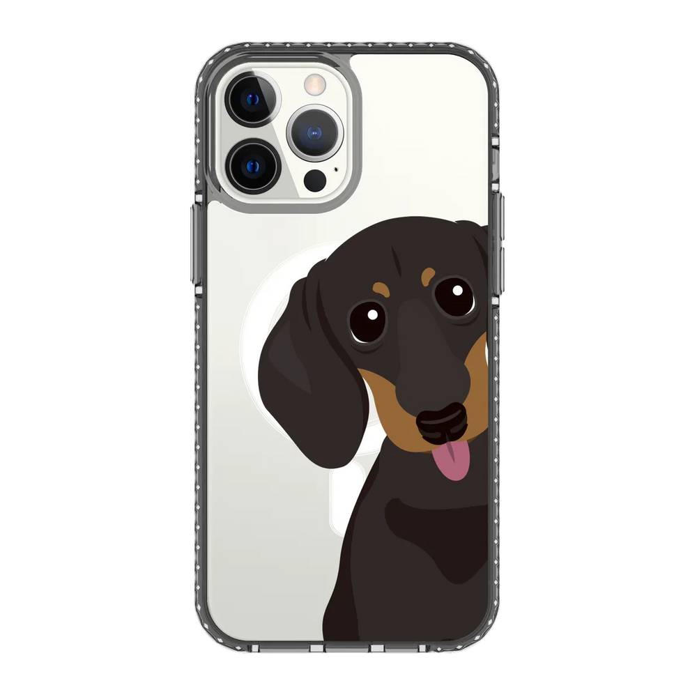 2261-iphone-13-pro-max-golden-case-magsafe-compatible-transparent-black