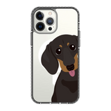2261-iphone-13-pro-max-golden-case-magsafe-compatible-transparent-black