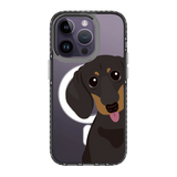 2261-iphone-14-pro-golden-case-magsafe-compatible-transparent-black