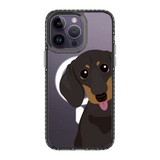 2261-iphone-14-pro-max-golden-case-magsafe-compatible-transparent-black