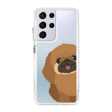 2262-galaxy-s21-ultra-hybrid-plus-transparent