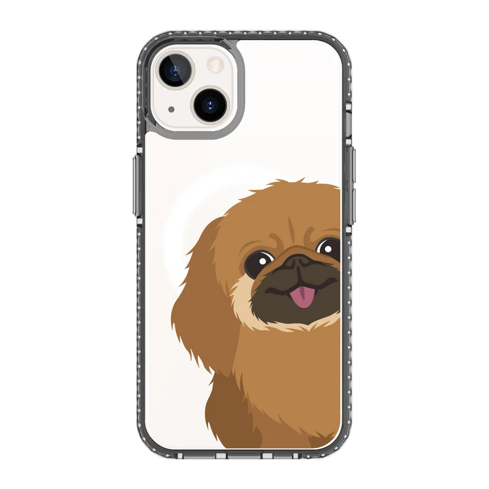 2262-iphone-13-golden-case-magsafe-compatible-transparent-black