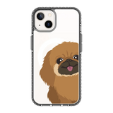 2262-iphone-13-golden-case-magsafe-compatible-transparent-black