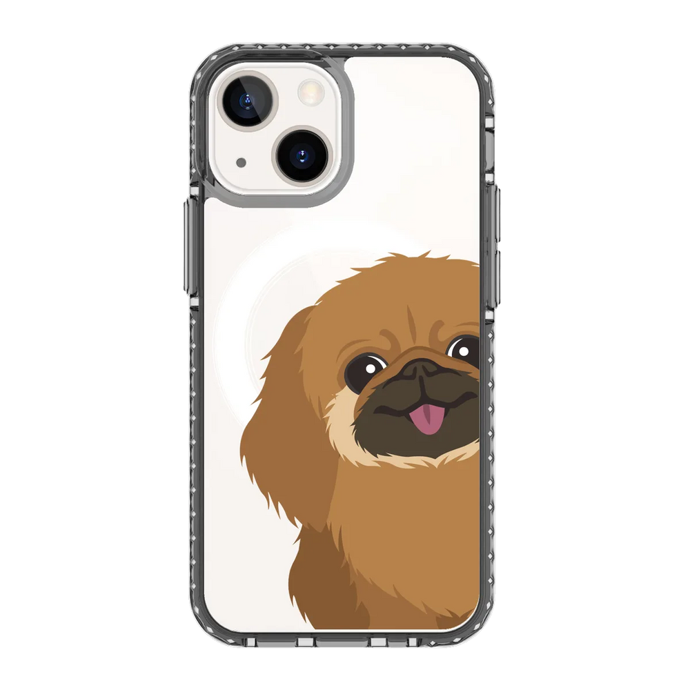 2262-iphone-13-mini-golden-case-magsafe-compatible-transparent-black