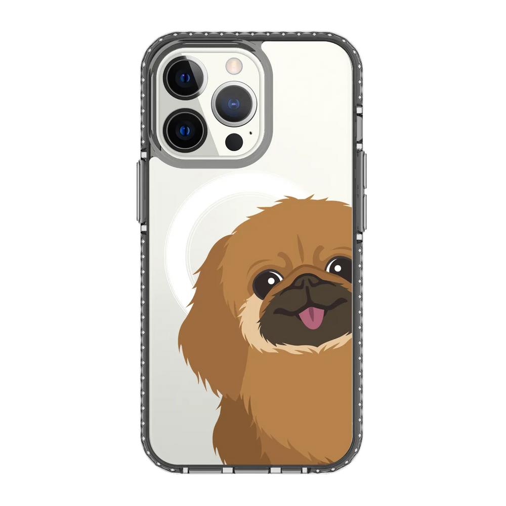 2262-iphone-13-pro-golden-case-magsafe-compatible-transparent-black
