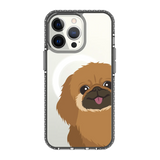 2262-iphone-13-pro-golden-case-magsafe-compatible-transparent-black