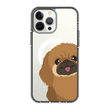 2262-iphone-13-pro-max-golden-case-magsafe-compatible-transparent-black