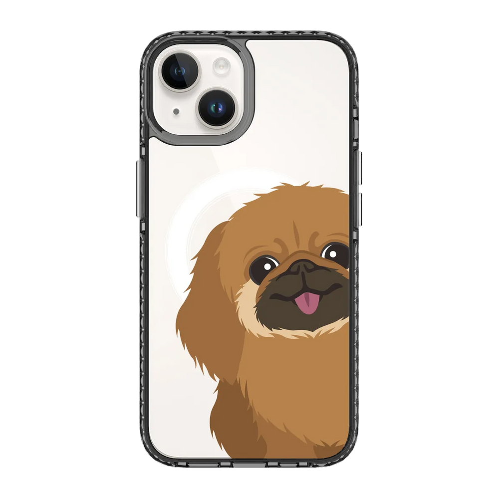 2262-iphone-14-golden-case-magsafe-compatible-transparent-black
