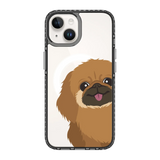 2262-iphone-14-golden-case-magsafe-compatible-transparent-black