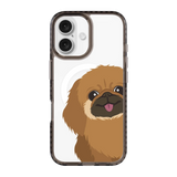 2262-iphone-16-golden-case-magsafe-compatible-transparent-black