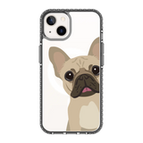 2264-iphone-13-golden-case-magsafe-compatible-transparent-black