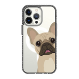 2264-iphone-13-pro-golden-case-magsafe-compatible-transparent-black