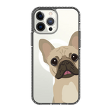 2264-iphone-13-pro-max-golden-case-magsafe-compatible-transparent-black