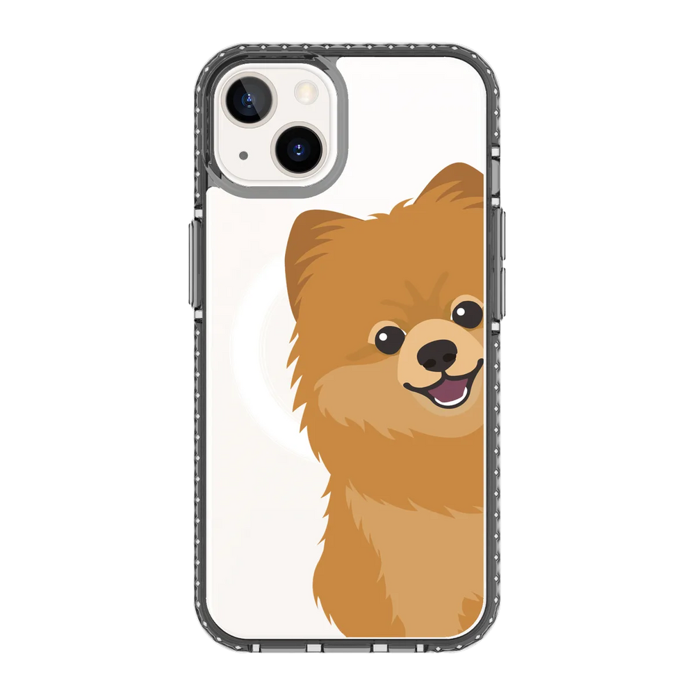 2265-iphone-13-golden-case-magsafe-compatible-transparent-black